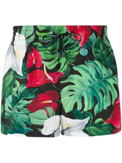 Dolce & Gabbana Foliage Print Swim Shorts In Green