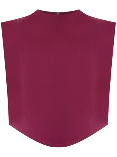 Framed Lawrence Top In Roxo