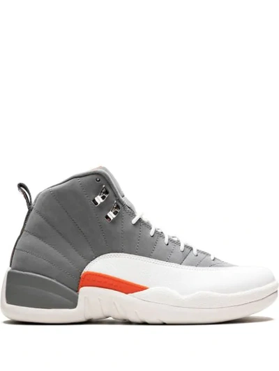 Jordan Air  12 Retro Sneakers In Grey
