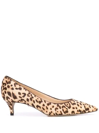 Sam Edelman Dori Kitten Heel Pumps In Brown