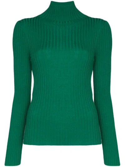 Plan C Turtleneck Ribbed Knit Top In Green