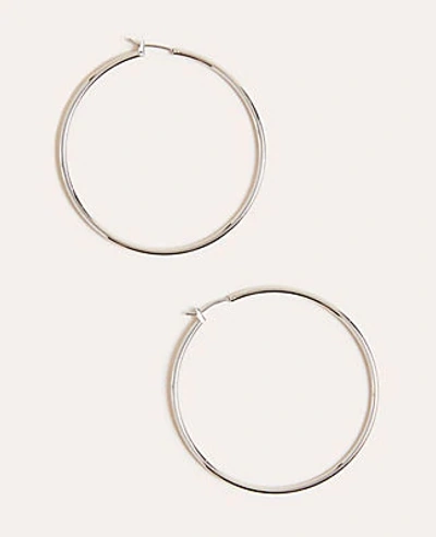 Ann Taylor Essential Hoop Earrings In Silver