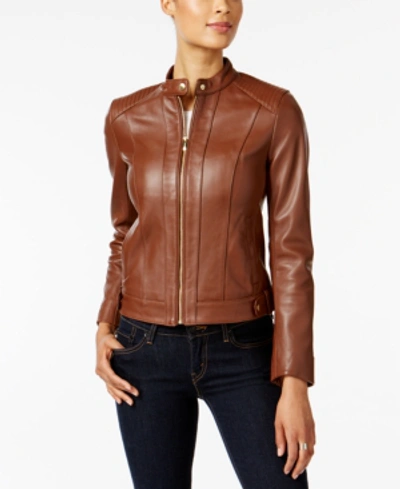 Cole Haan Petite Snap-neck Leather Moto Jacket In Chestnut