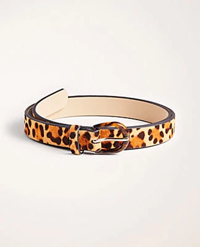 Ann Taylor Leopard Print Haircalf Belt In Brown Multi