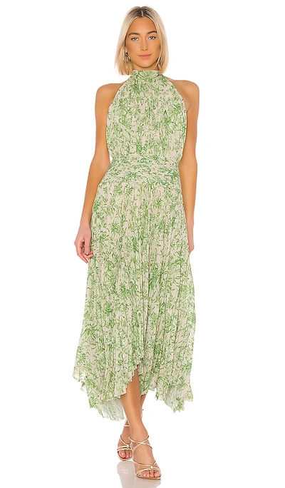 Amur Bibi Leaf-print Plissé Halter Handkerchief Maxi Dress