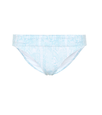 Heidi Klein Lake Manyara Snake-print Bikini Bottoms In Blue