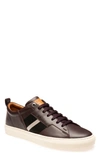 Bally Men's Helvio Trainspotting Leather Low-top Sneakers In Prune