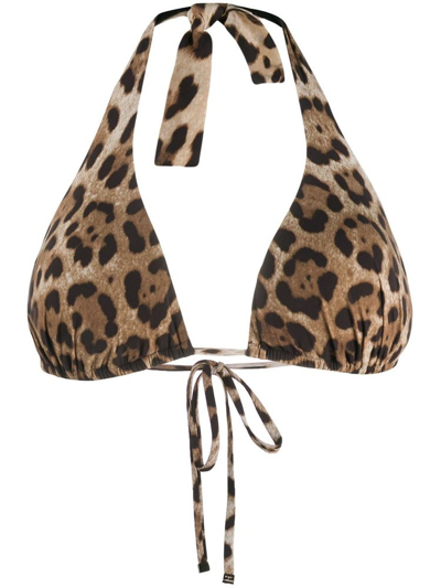 Dolce & Gabbana Leopard-print Halterneck Triangle Bikini Top In Brown