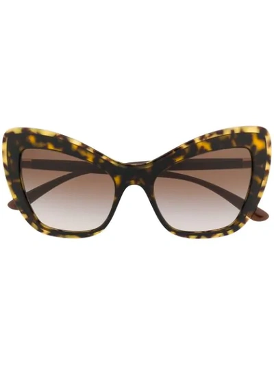 Dolce & Gabbana Cat-eye Shaped Sunglasses In Brown