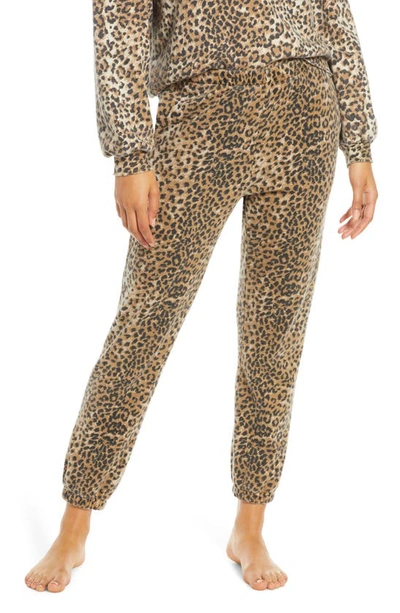 Ragdoll Leopard Print Jogger Pants In Brown Leopard