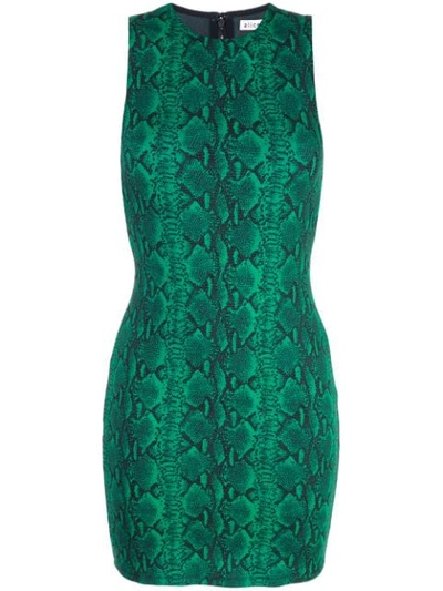 Alice And Olivia Delora Snake-print Sleeveless Crewneck Mini Dress In Green