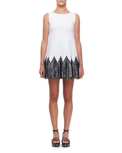 Alaïa Women's Raphia Fringe Tunic Blouse In Black White