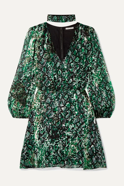 Alice And Olivia Rita Long Sleeve Snake Print Minidress In Black Emerald