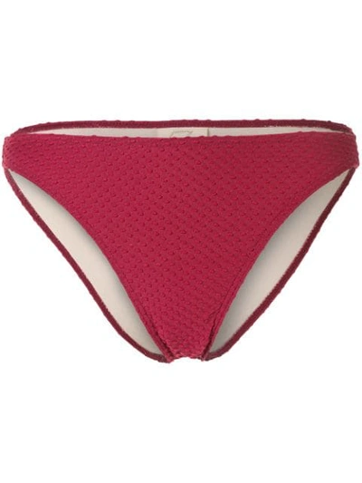 Peony High Line Bikini Bottoms In Multicolour