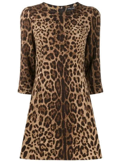 Dolce & Gabbana Leopard Print Cady Crepe Shift Dress In Neutrals