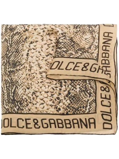 Dolce & Gabbana Snake Print Scarf In Neutrals