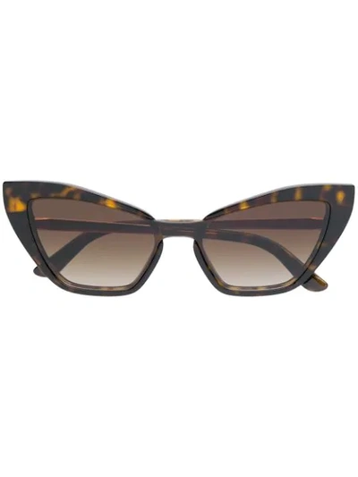 Dolce & Gabbana Oversized Cat-eye Shaped Sunglasses In Brown