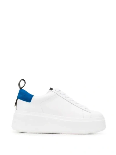 Ash Moon Sneakers In White Leather