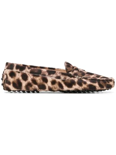 Tod's Gommino Leopard-print Calf Hair Loafers In Brown