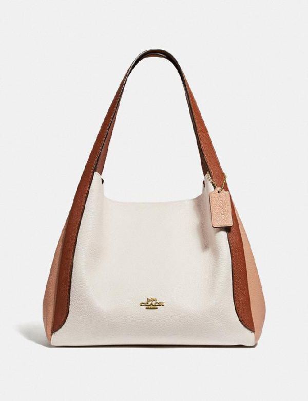 coach colorblock hobo bag