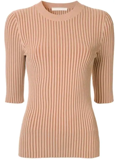 Dion Lee Ribbed Knit Fitted Top In Brown
