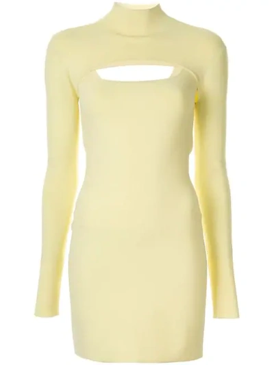 Dion Lee Fitted Mini Dress In Yellow