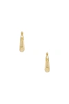 Shashi Baby Dominique Hoop Earrings In Gold