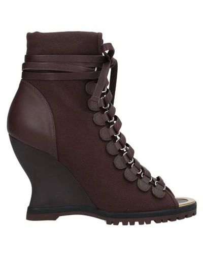 Chloé Ankle Boots In Cocoa