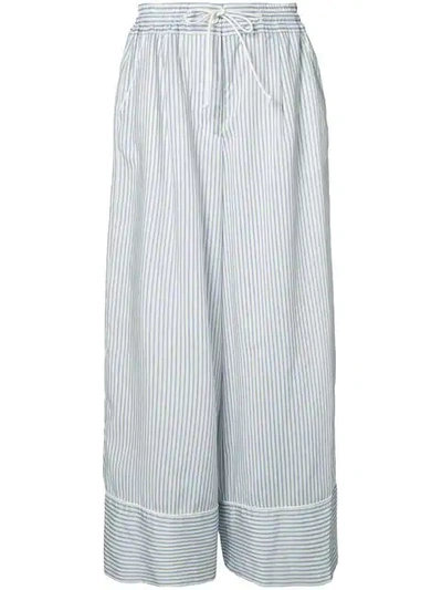 Sacai Light Blue & White Pinstripe Pant In Light Blue/white