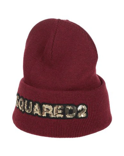 Dsquared2 Hat In Maroon