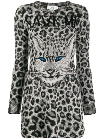 Alberta Ferretti Knitted Leopard Print Dress In Grey