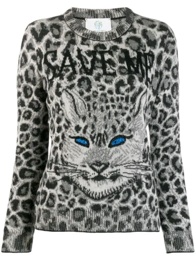 Alberta Ferretti Animal Print Jumper In Grey,black