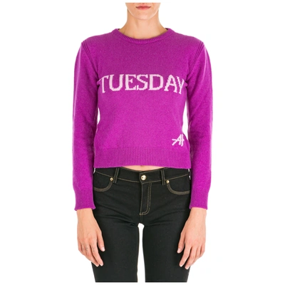 Alberta Ferretti Women's Jumper Sweater Crew Neck Round Rainbow Week Tuesday In Purple