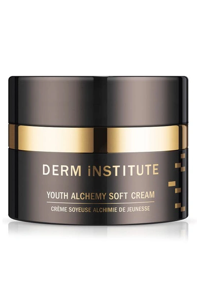 Derm Institute Youth Alchemy Soft Cream, 1 Oz./ 30 ml