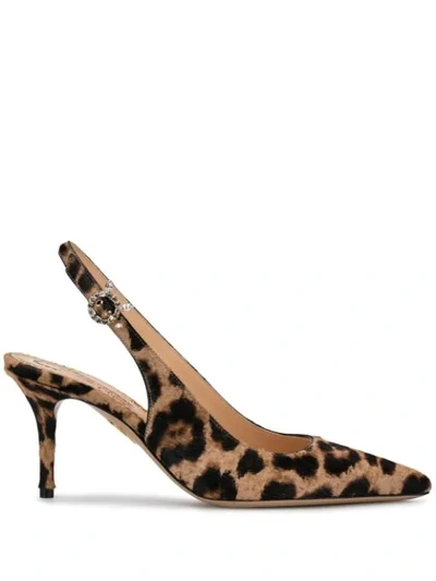 Charlotte Olympia Pointed Leopard Print Pumps In Neutrals