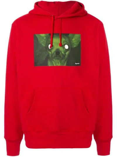 Supreme X Chris Cunningham Chihuahua Hoodie In Red | ModeSens