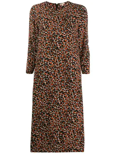 Bellerose Heish Leopard Print Dress In Dia Display A