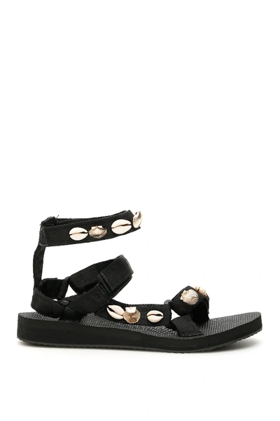 Arizona Love Shell Trekky Sandals In Black