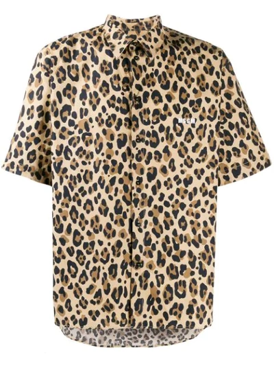 Msgm Leopard Print Short Sleeve Button Down Shirt In Animalier