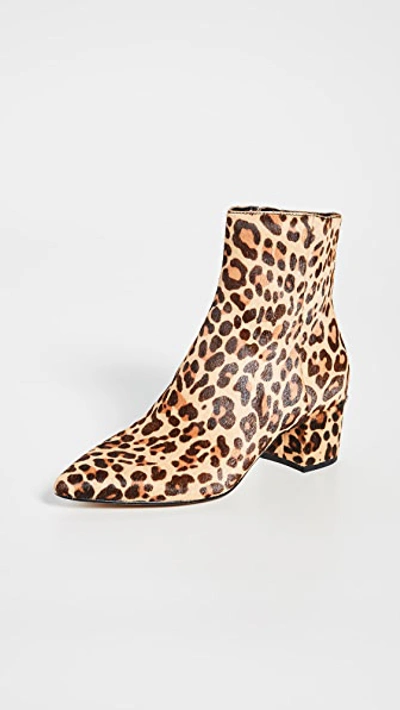 Dolce Vita Bel Point Toe Booties In Dark Leopard