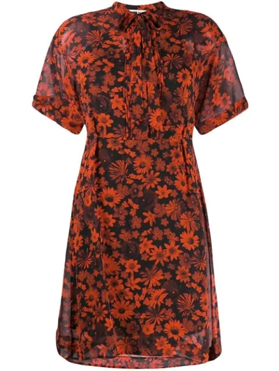 Mcq By Alexander Mcqueen Tie-detailed Pintucked Floral-print Silk-chiffon Dress In Red