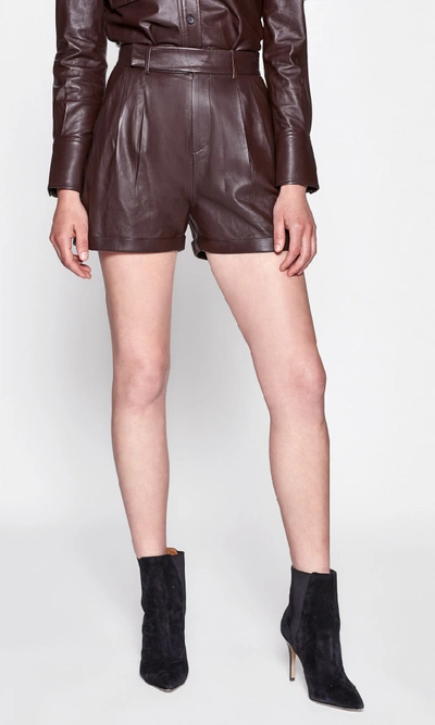 Equipment Breeta Leather Shorts In Mole