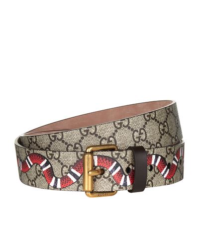 gucci belt snake