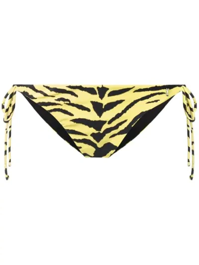 Saint Laurent Zebra-print Bikini Bottoms In Yellow