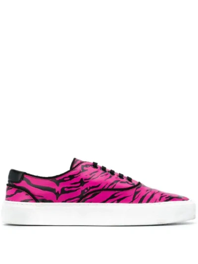 Saint Laurent Black & Pink Zebra Print Venice Sneakers In Fuchsia