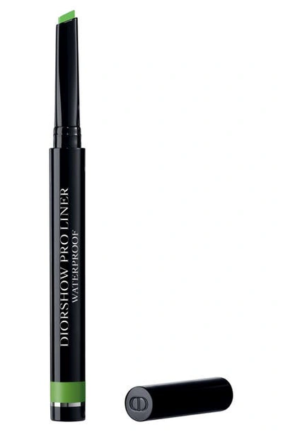 Dior Show Pro Liner Waterproof - Limited Edition Fall Look In 456 Matte Lime