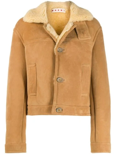 Marni Shearling Button-up Short Coat In Neutrals