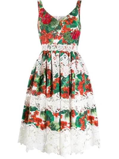 Dolce & Gabbana Hydrangea Print Lace Panelled Dress In Red