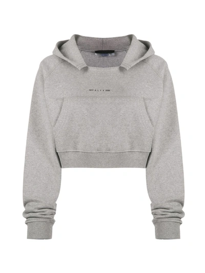 Alix Cropped Raglan Hoodie In Grey