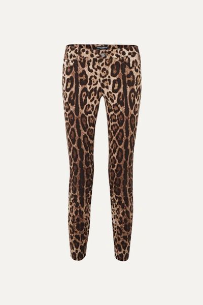 Dolce & Gabbana Cropped Leopard-print Skinny Jeans In Animalier